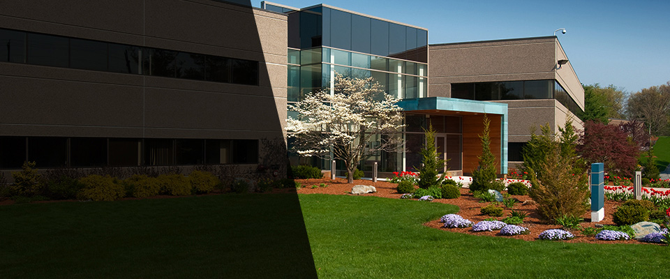 Upper Black Eddy Landscapers