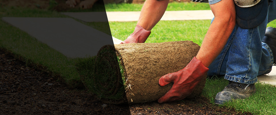 Upper Black Eddy Landscapers